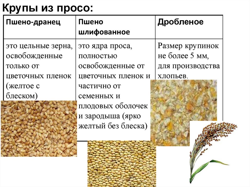 Зерномучные товары схема