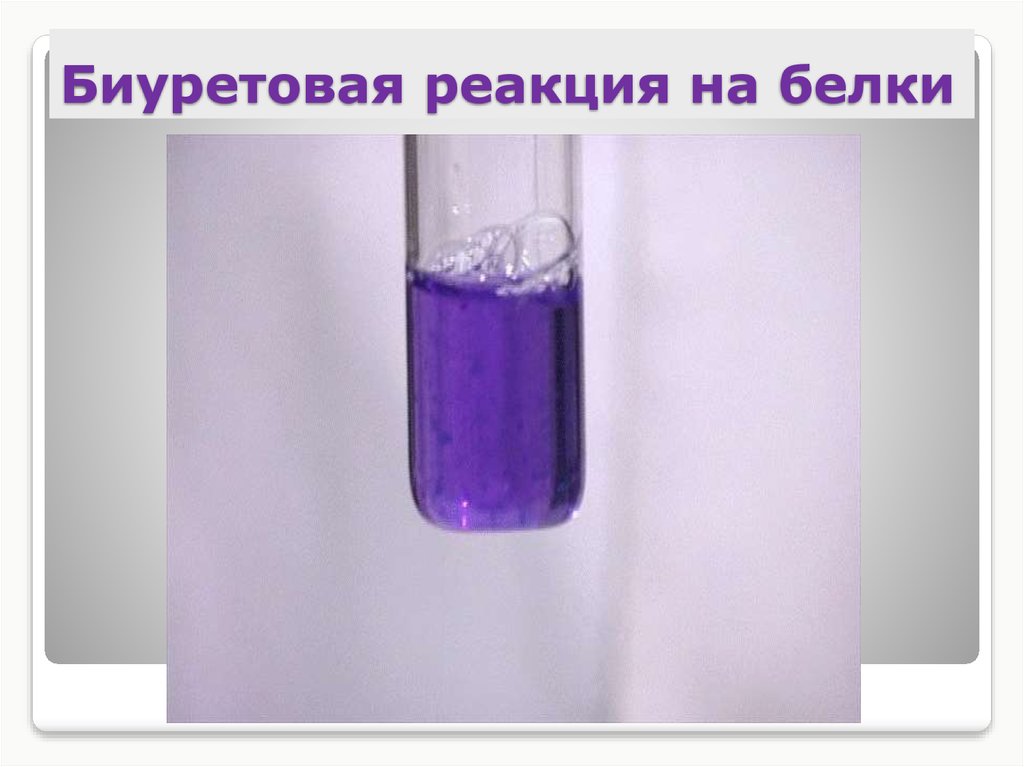 Белок и сульфат меди. Цветные реакции белка: биуретовая ксантопротеиновая реакция. Биуретовая проба на белки. Биуретовая реакция с яичным белком. Желатин биуретовая реакция.