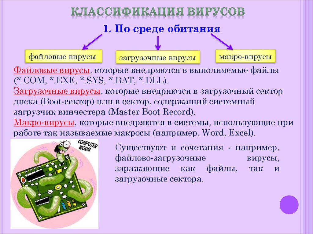 Программа внутри которой находится вирус называется