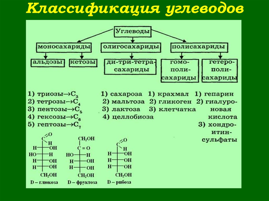Какие органические соединения называют углеводами. Классификация моносахаридов химия. Классификация углеводов биология 9 класс. Углеводы схема строения. Классификация углеводов биохимия схема.