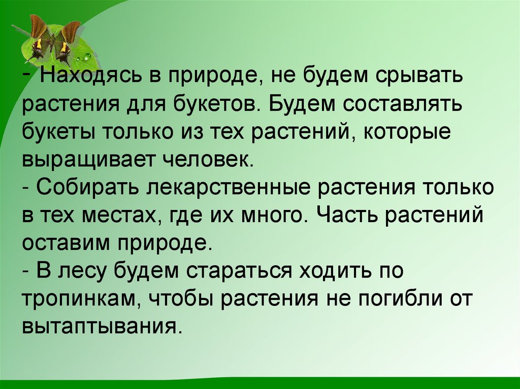Тексты про зеленый. Зеленая аптека Донбасса. Лес зеленая аптека.