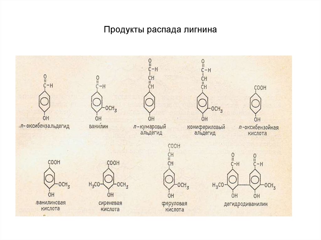 Продукты распада мочи