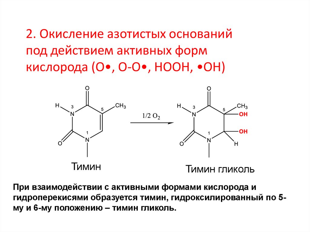 Образование димеров. Тиминовых димеров. Образование тиминовых димеров. Димер химия. Образование тиминовых димеров вызывает.