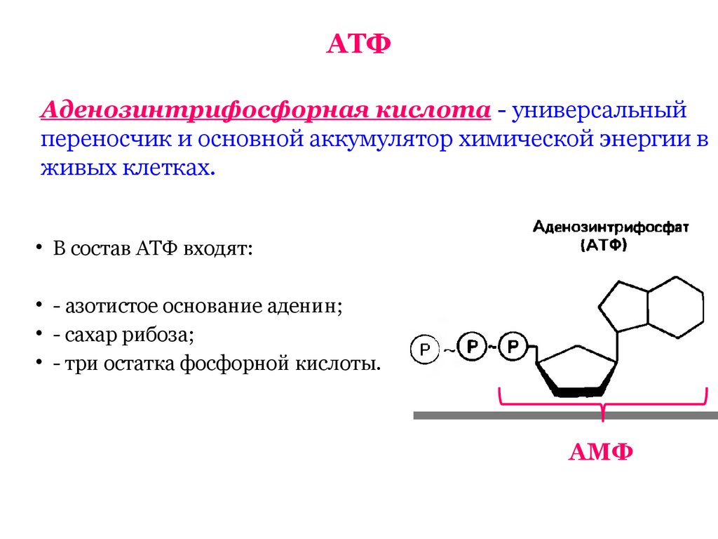 Атф находится. Органические вещества клетки АТФ. Органические вещества АТФ строение. АТФ хим структура. Химическая структура АТФ.