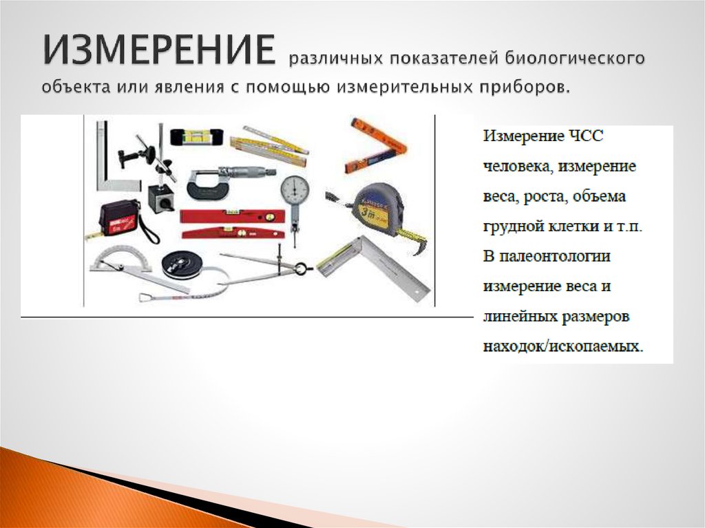 Задания с изображением биологического объекта