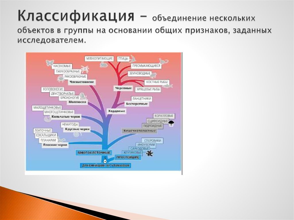 Объединение нескольких организаций