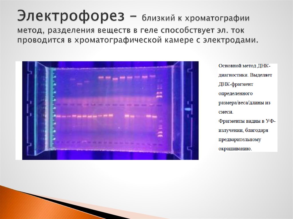 По разбитым зеркалам электрофорез. Электрофорез схема биология. Методы цитологии электрофорез в геле. Электрофорез метод биологии. Электрофорез метод схема.