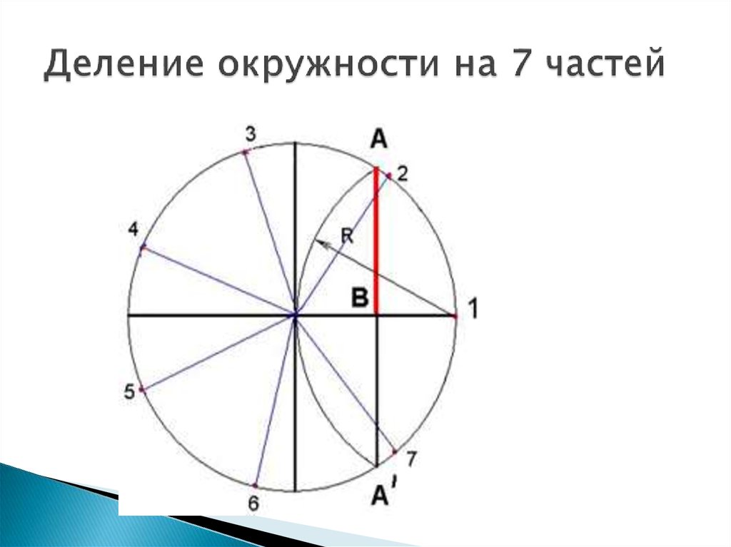 7 на окружности