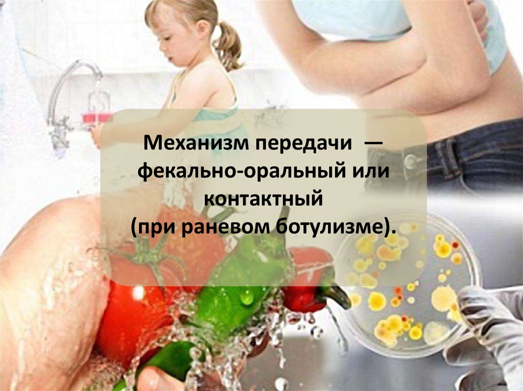 Ботулизм. Профилактика ботулизма - презентация онлайн