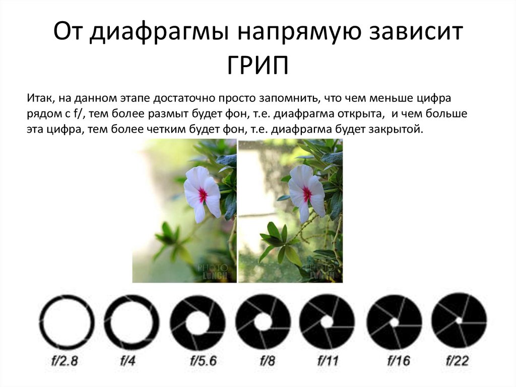 Глубина резкости в мире нет. Глубина резкости в фотоаппарате. Глубина резкости примеры. Диафрагма и глубина резкости. Параметры диафрагмы фотоаппарата.