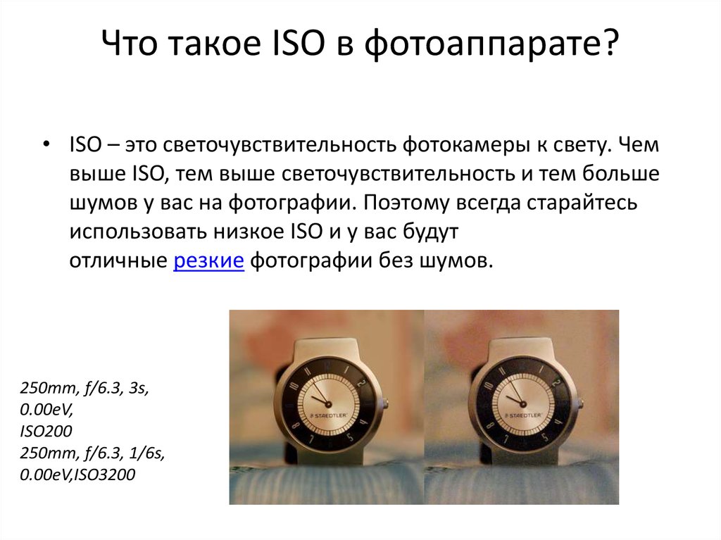 Что такое ISO в фотоаппарате?