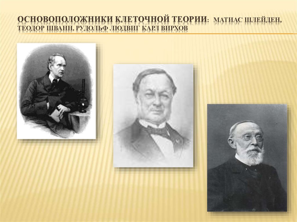 Согласно клеточной теории. Шванн Шлейден Вирхов. Маттиас Шлейден клеточная теория. Рудольф Вирхов клеточная теория. Теодор Шванн клеточная теория.