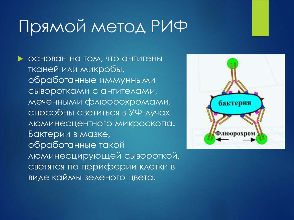 Риф презентация микробиология