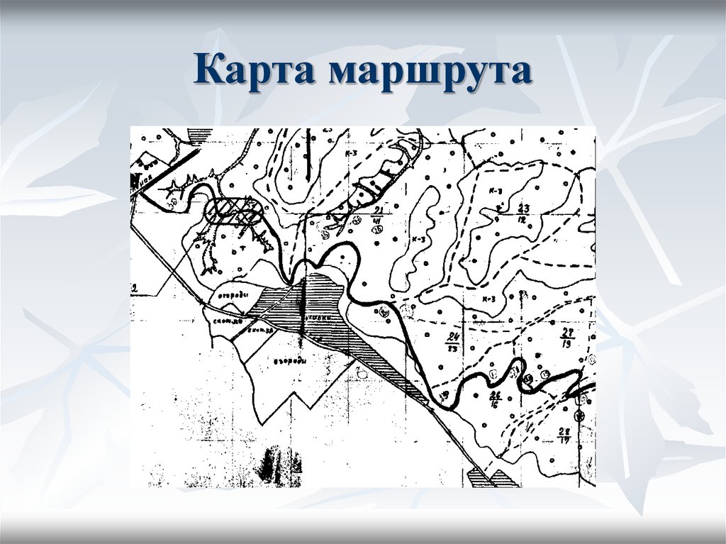 Экологические тропы хвалынска карта