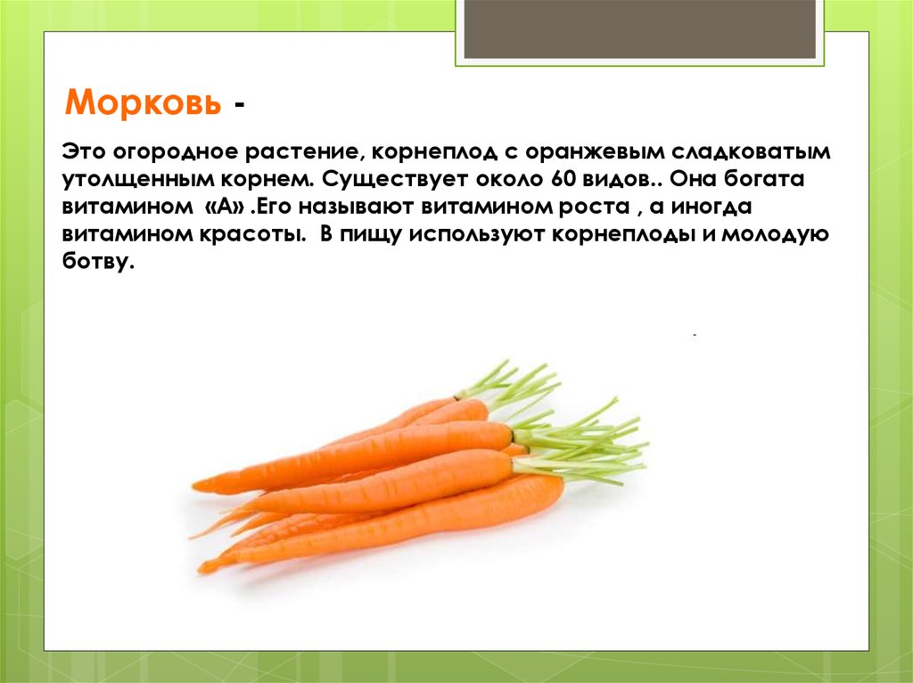 Морковь относится к группе