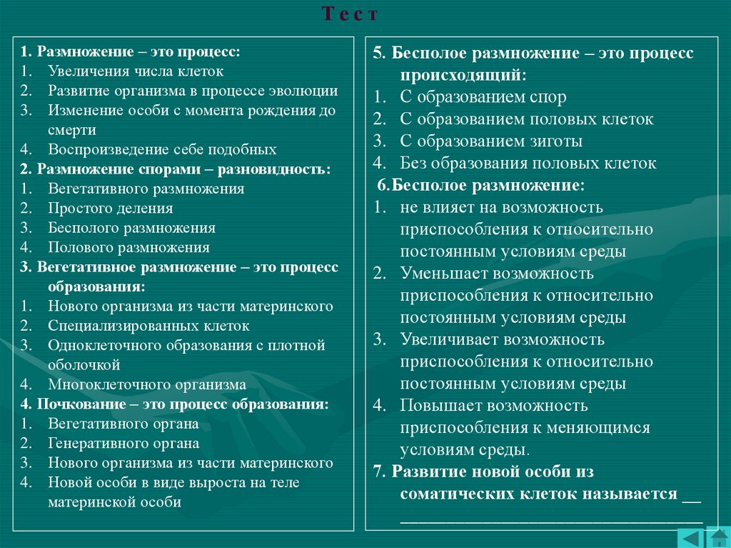 Почему свойства дочерних организмов. Процесс увеличения числа клеток. Размножение это процесс. Размножение это процесс увеличения числа. Размножение это процесс воспроизведения себе подобных.