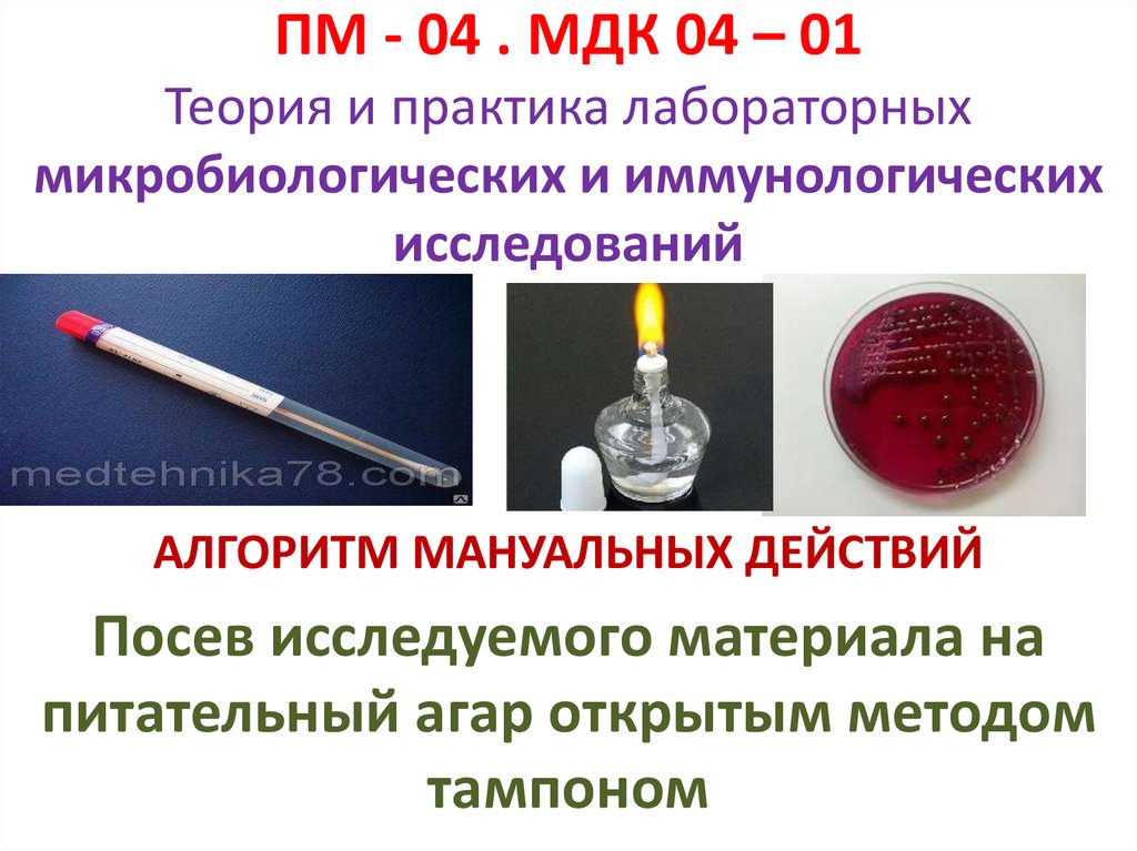 Методы микробиологической диагностики гельминтозов презентация