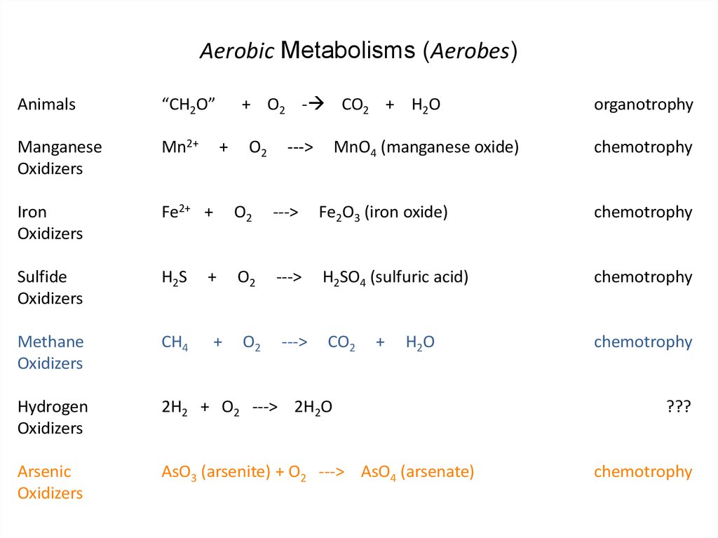 Aerobic Metabolisms (Aerobes)