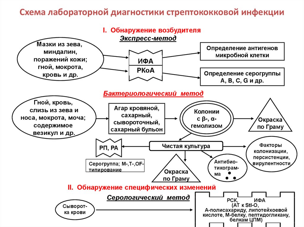 Схема лабораторной диагностики