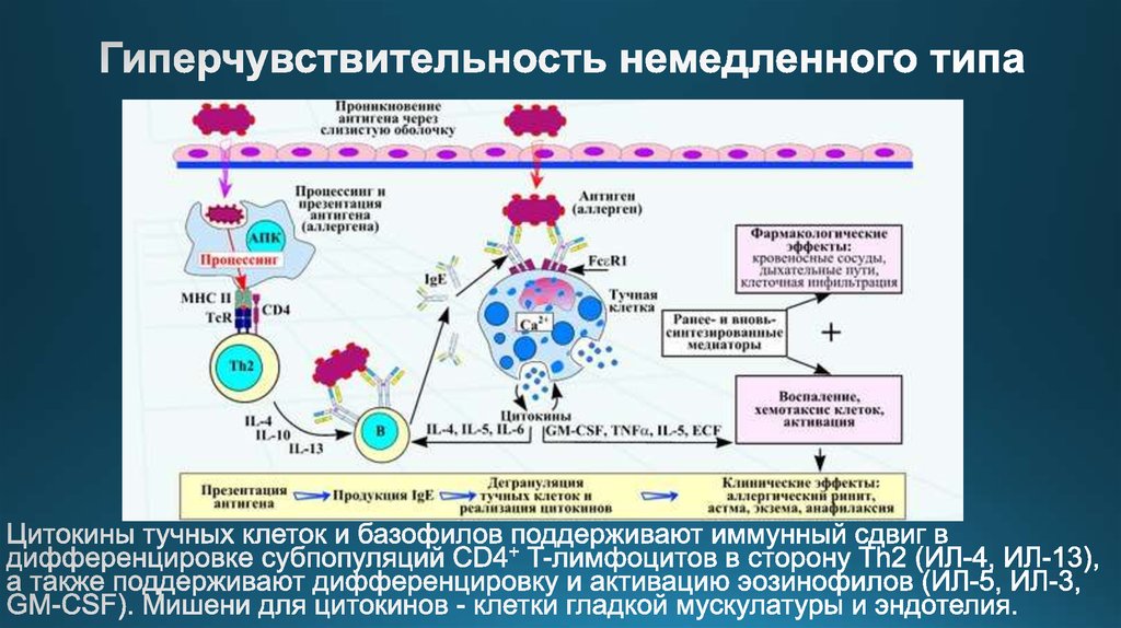 Гиперчувствительность немедленного типа