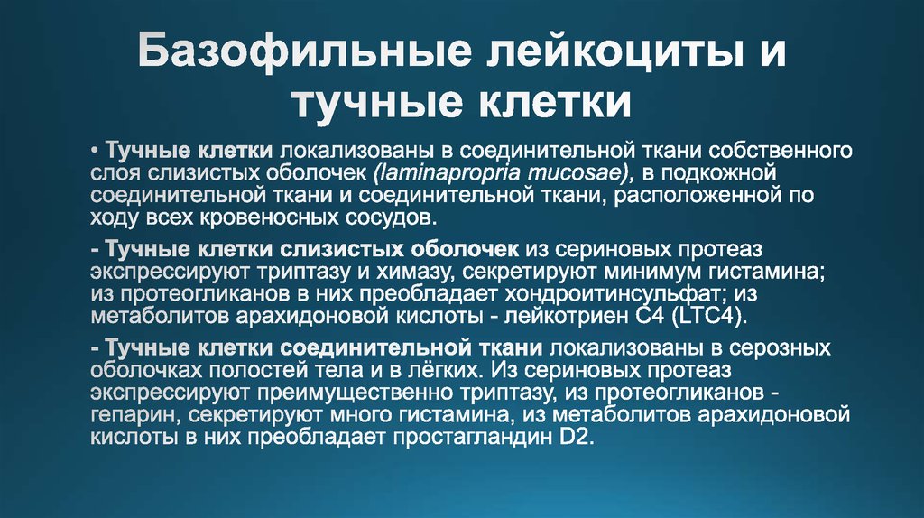 Базофильные лейкоциты и тучные клетки