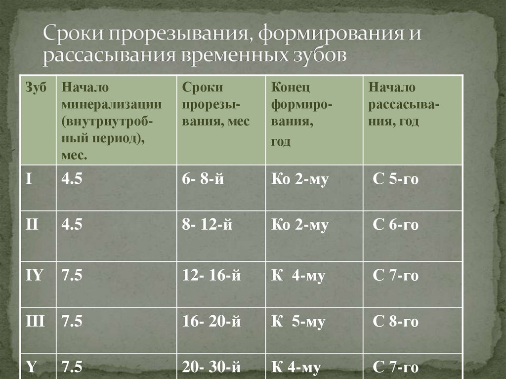 Сроки развития. Сроки формирования и прорезывания временных зубов. Сроки формирования молочных зубов. Сроки прорезывания формирования и рассасывания временных зубов. Сроки прорезывания и формирования корней молочных зубов.