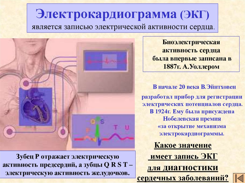 Экг пациентов. Запись ЭКГ. Памятка по ЭКГ. Подготовка к проведению электрокардиографии (ЭКГ). Подготовка пациента к проведению ЭКГ.