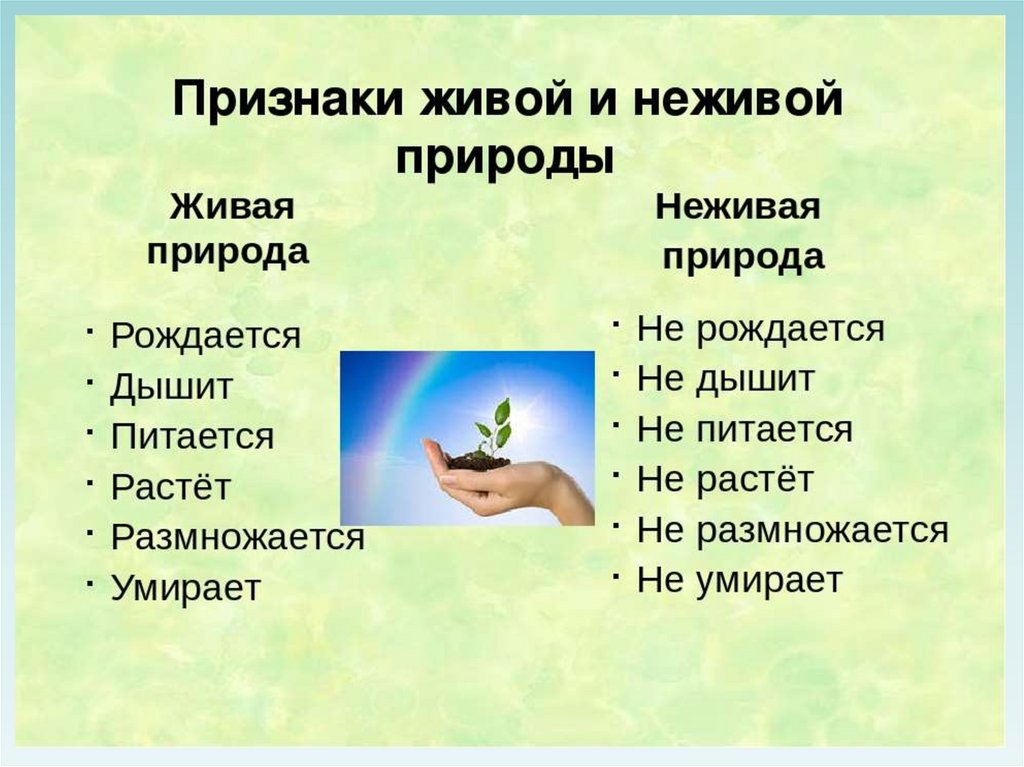 Живая и неживая природа 2. Живая и неживая природа. Признаки живой и неживой природы. Живая и неживая приролд. Живая и недива ЯПРИРОДА.