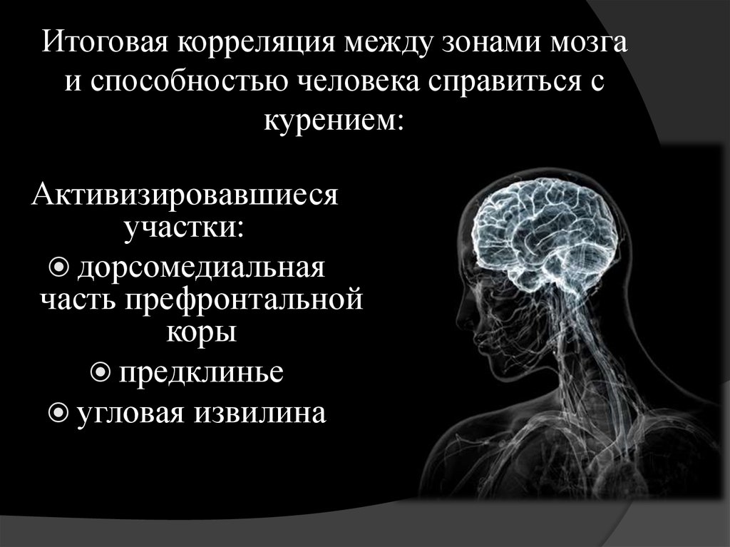 Итоговая корреляция между зонами мозга и способностью человека справиться с курением: