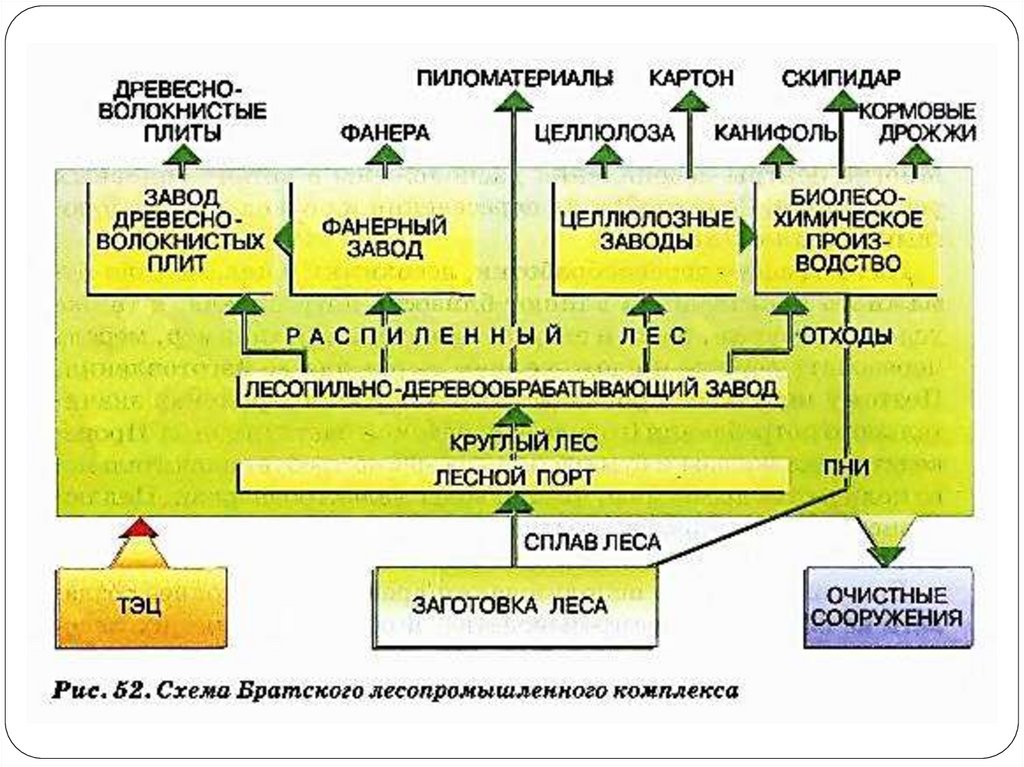 Схема лесной промышленности