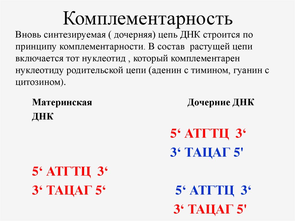 Последовательность комплементарной цепи