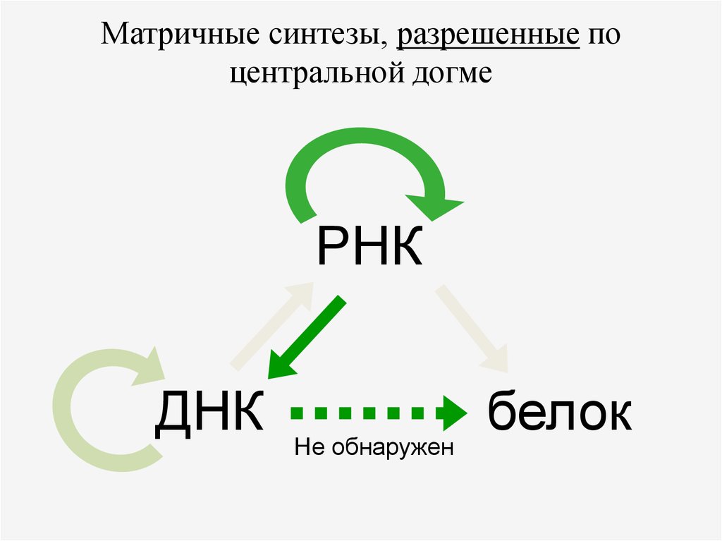 Реакции матричного синтеза