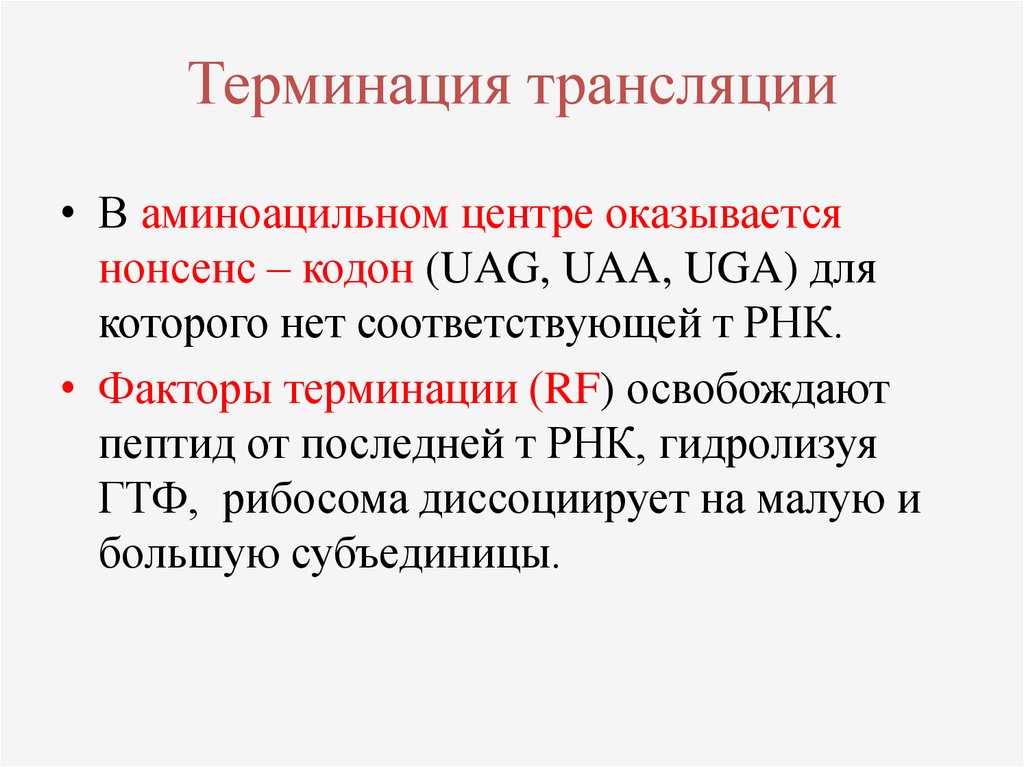 Нонсенс это. Нонсенс кодоны. Факторы терминации. Нонсенс кодоны ДНК. Факторы терминации трансляции.