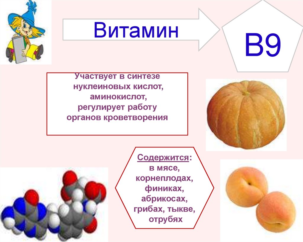 Биология 8 класс параграф 37 витамины
