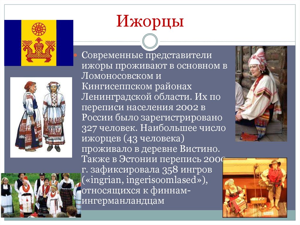 Сколько живут карелы. Народы Ленинградской области водь Ижора. Коренные народы Ленинградской области список. Карелы, Ижоры, вепсы. Ижоры презентация.