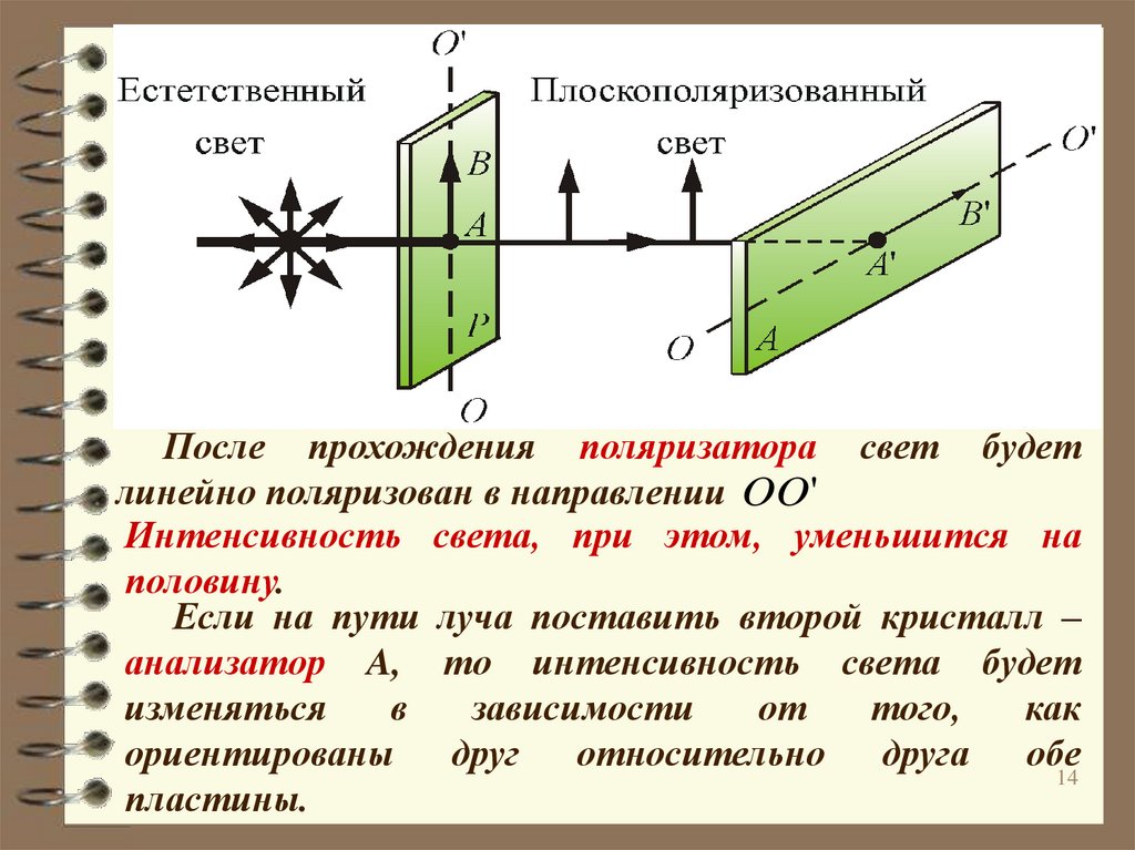 На рисунке представлены графики зависимости интенсивности света прошедшего через поляризатор от угла