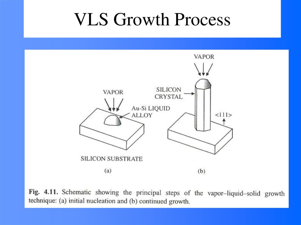 VLS Growth Process