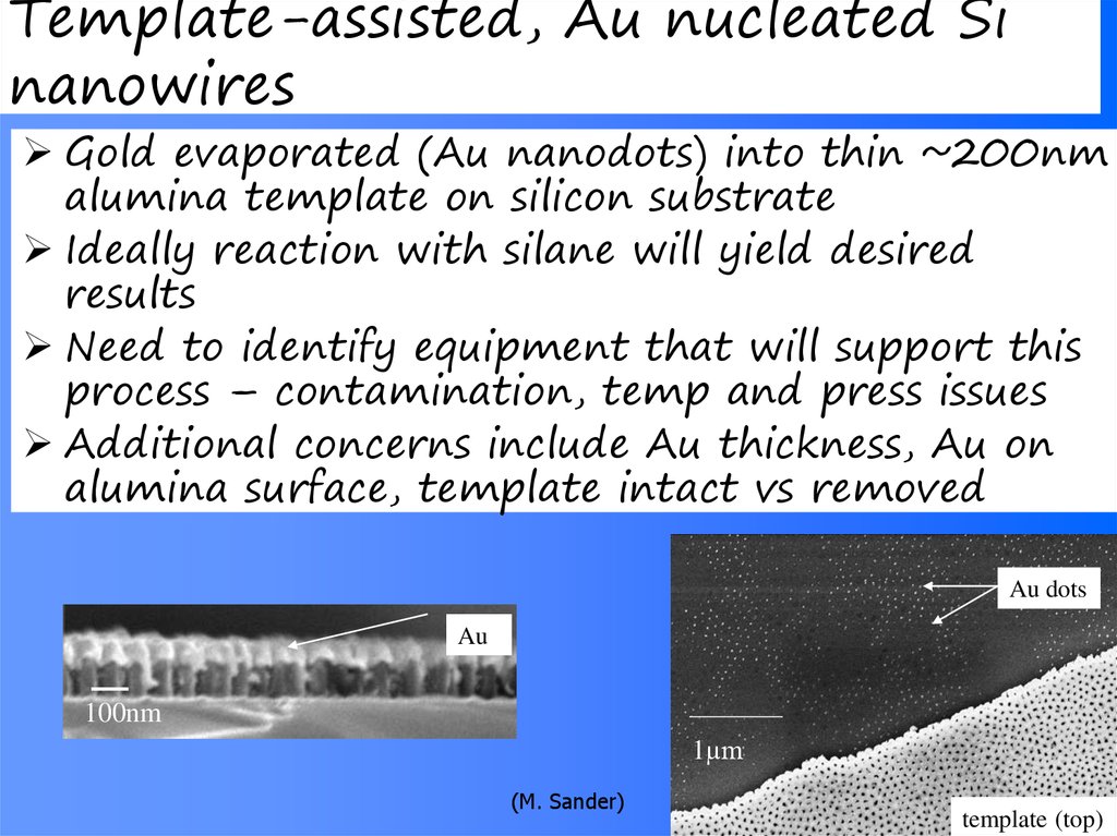 Template-assisted, Au nucleated Si nanowires