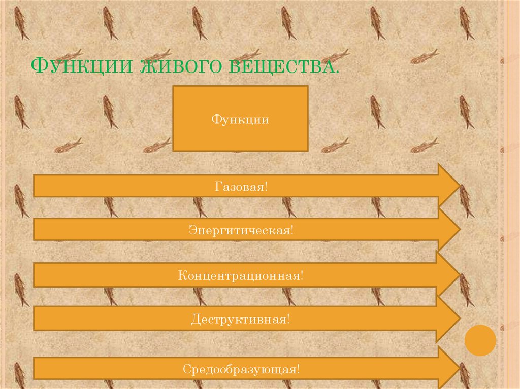 Роль живых организмов в биосфере презентация