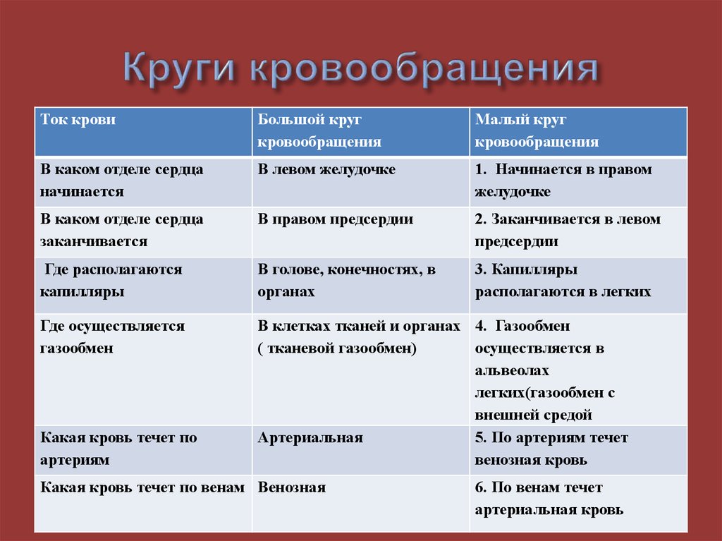 Чем отличается большая. Таблица по биологии 8 класс круги кровообращения. Артериальная и венозная кровь отличия. Сравнение кругов кровообращения таблица. Аблицу 