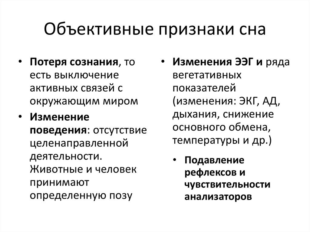 Исследователь изучал физиологические изменения в организме лошади