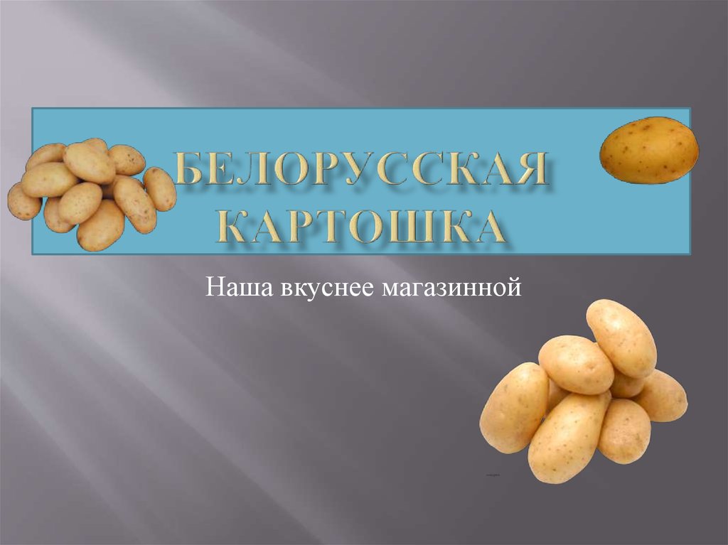 Презентация про картофель