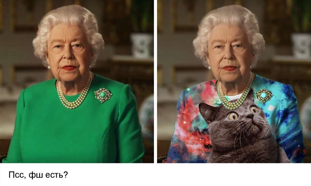 Псс, фш есть?