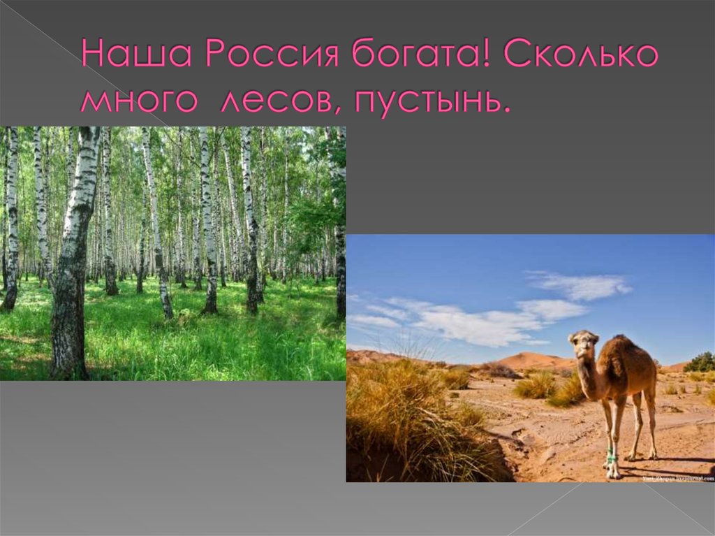 Наша Россия богата! Сколько много лесов, пустынь.