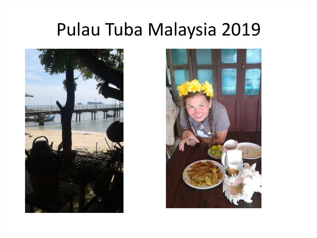 Pulau Tuba Malaysia 2019