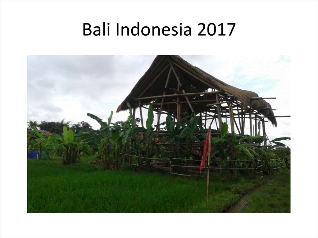 Bali Indonesia 2017