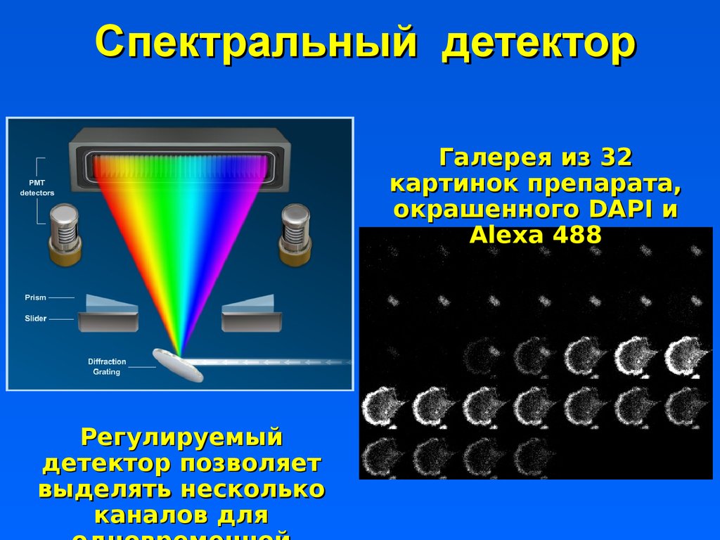 Спектральный детектор