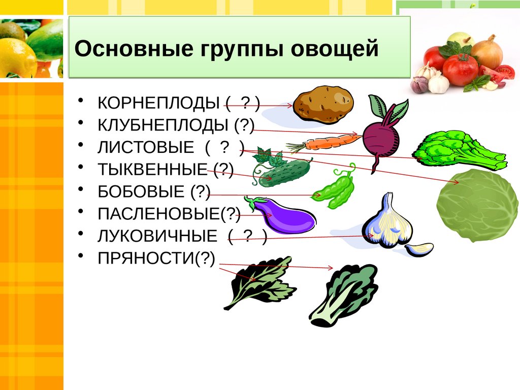 Основные группы овощей