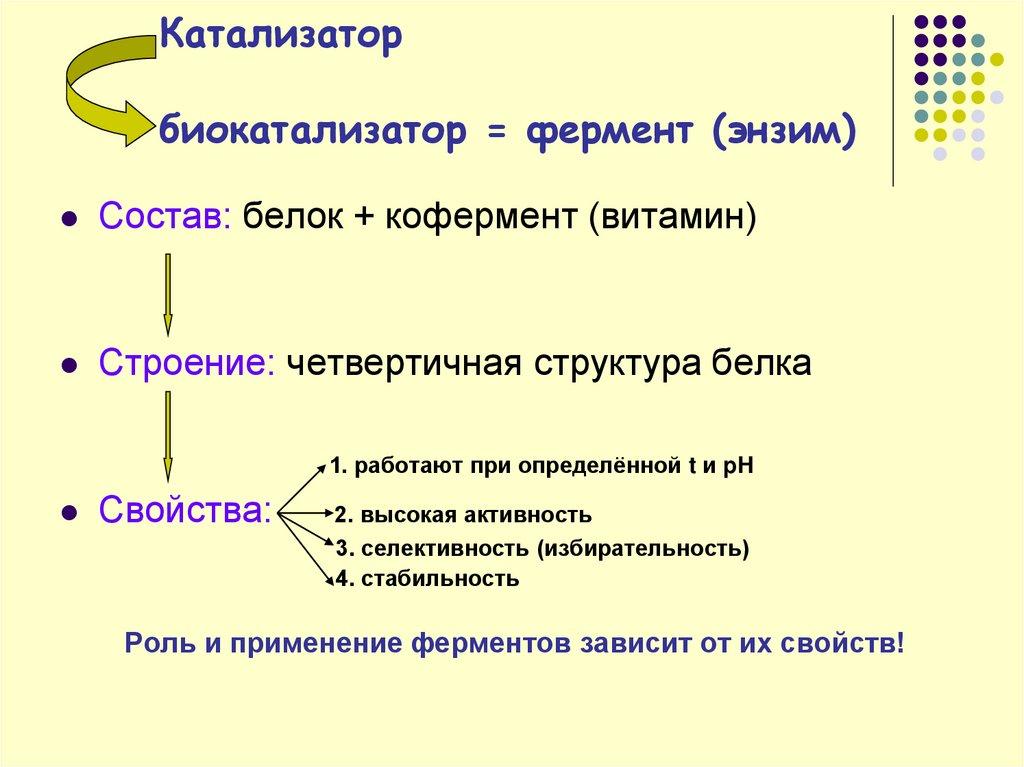 Проект ферменты 10 класс