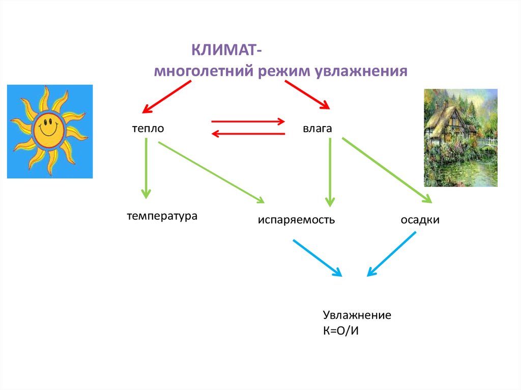 Закономерности распределения тепла и влаги. Режим увлажнения. Соотношения тепла и влаги рисунок.